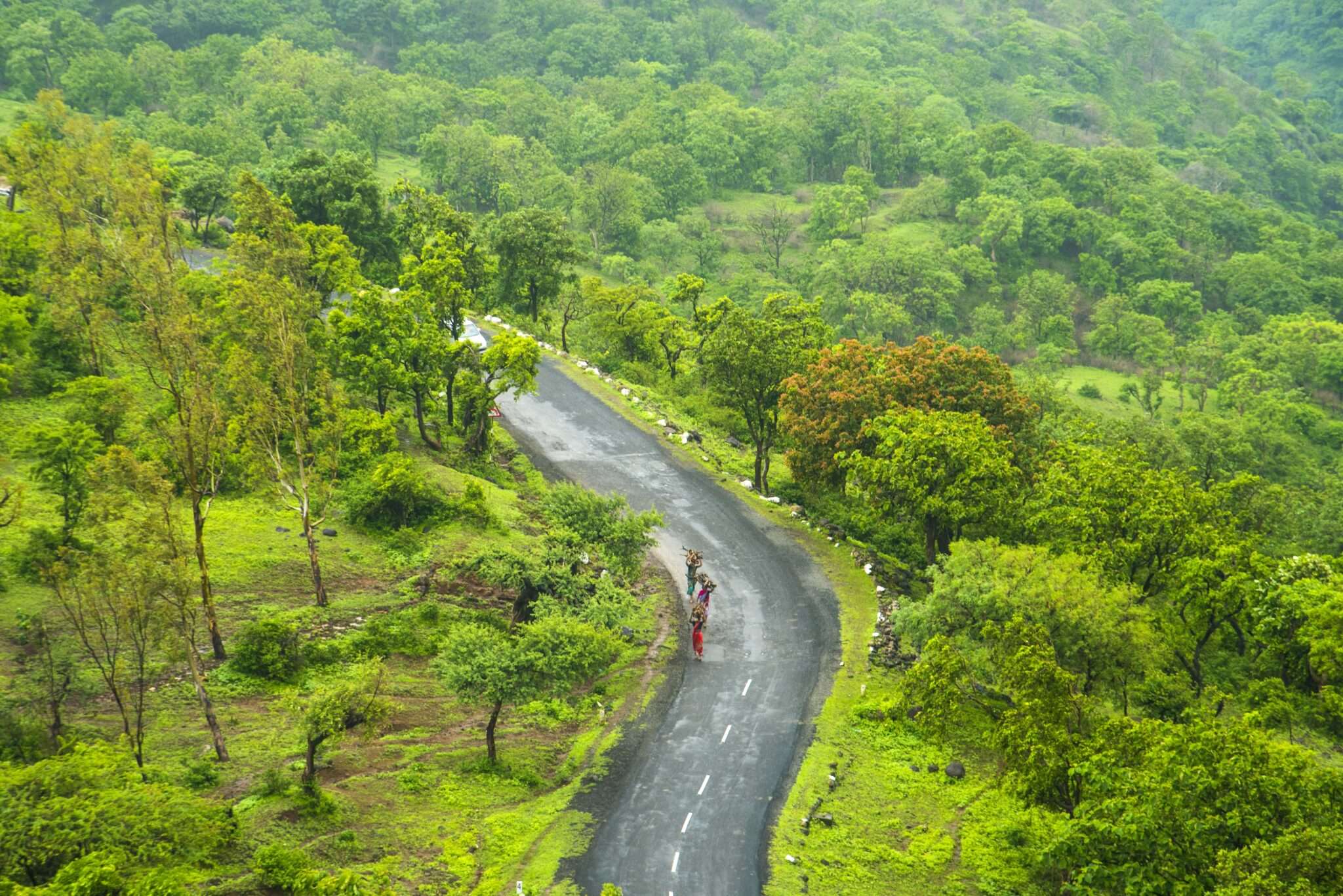 Purely Mahabaleshwar Self Drive